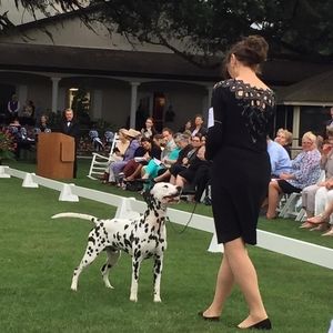 Meet your Posher, Ann